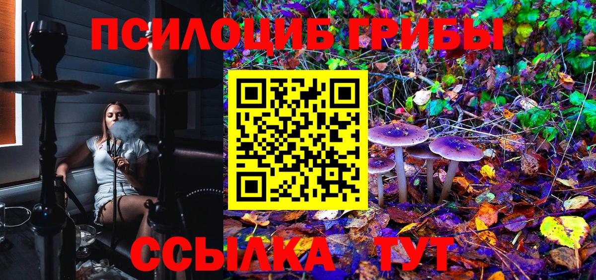 Галлюциногенные грибы Psilocybine cubensis  Галлюциногенные грибы ЛСД  Вход с VPN  Электросталь 