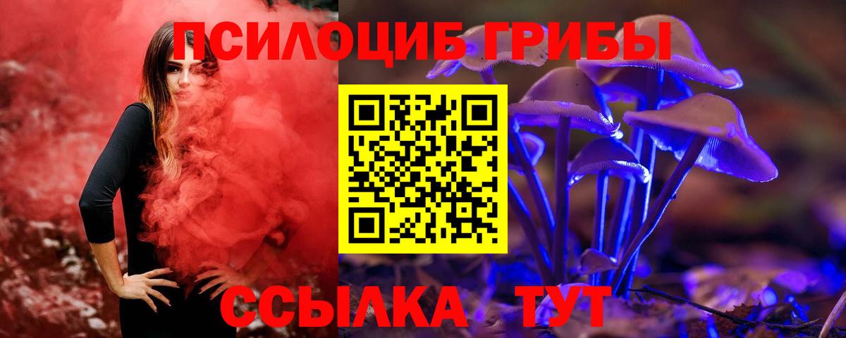 Галлюциногенные грибы MAGIC MUSHROOMS Электросталь